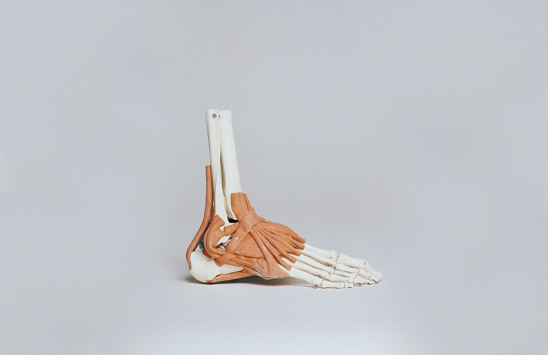Ankle-strengthening exercises (Image via Unsplash/Nino Liverani)